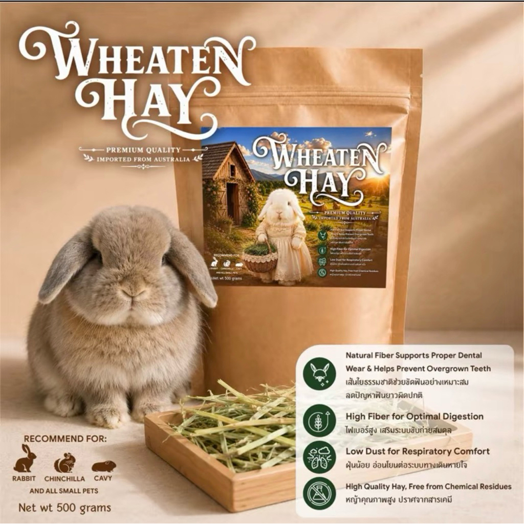 Wheaten Hay หญ้าวีท สำหรับสัตว์ฟันเเทะ
