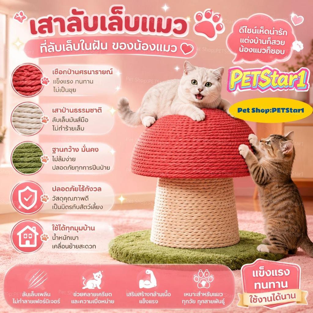 PETStar1🥇เสาเกาแมวรูปเห็ด 🥇คอนโดแมว ที่ฝนเล็บแมว เสาฝนเล็บแมว พร้อมของเล่น คลายเครียด แบบแท่ง ที่รับเล็บแมว