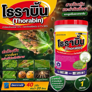 โธราบิ้น(ไดเมทโทมอฟ+ไพราโคสโตรบิน) 🥬สารป้องกันกำจัดโรคพืชที่เกิดจากเชื่อรา