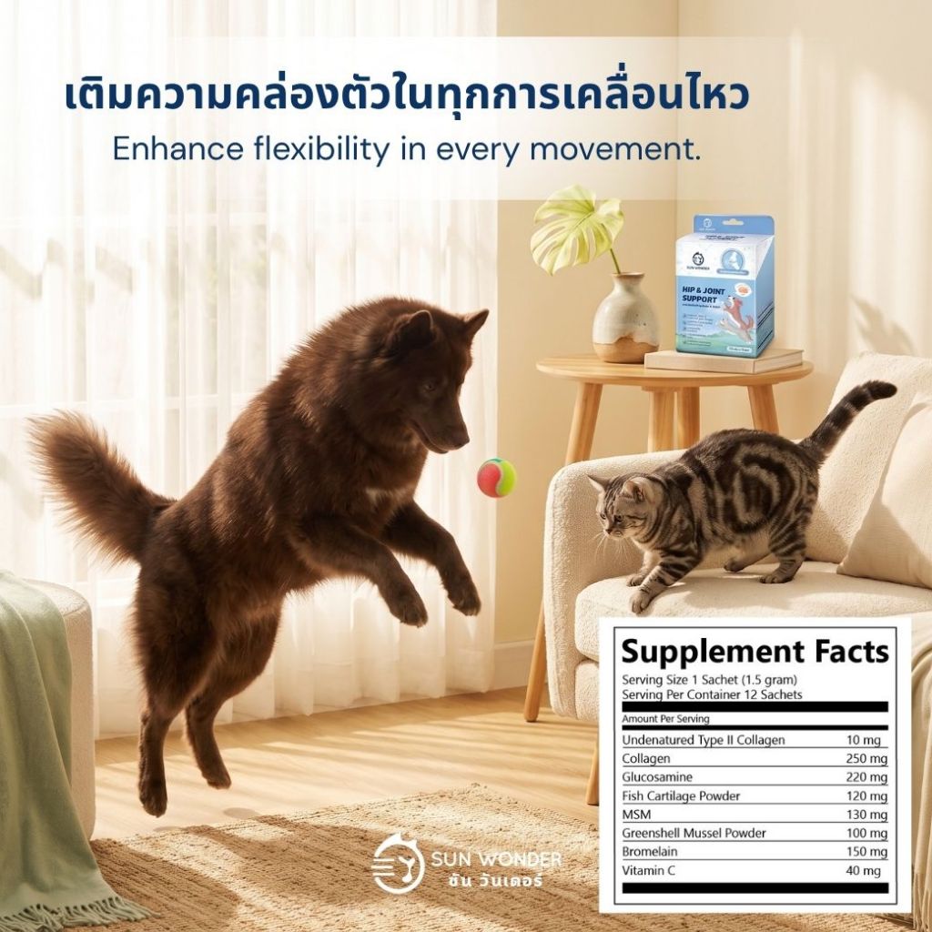 (1 กล่อง/12 ซอง) SUN WONDER HIP&JOINT SUPPORT อาหารเสริมบำรุงข้อต่อ & สะโพก รูปที่ 3