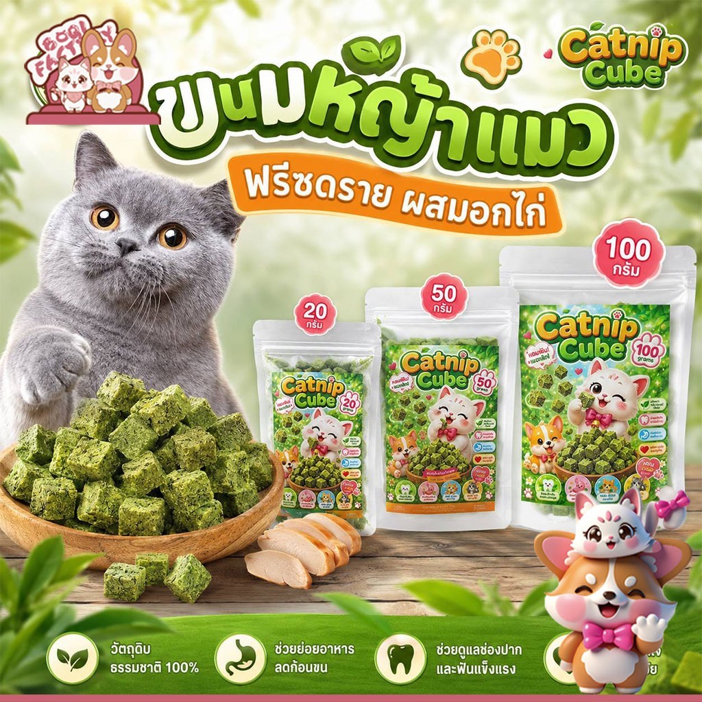 Boqi Factory ขนมหญ้าแมว ฟรีซดราย ผลิตจากต้นอ่อนข้าวสาลี ผสมอกไก่ Catnip