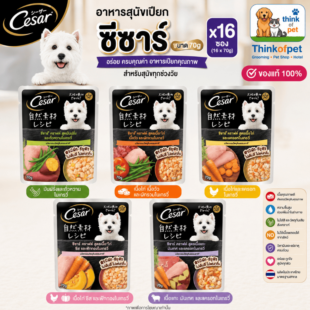 อาหารสุนัขเปียก CESAR กับ CESAR Craft ซีซาร์ ขนาด 70gX16 ซอง