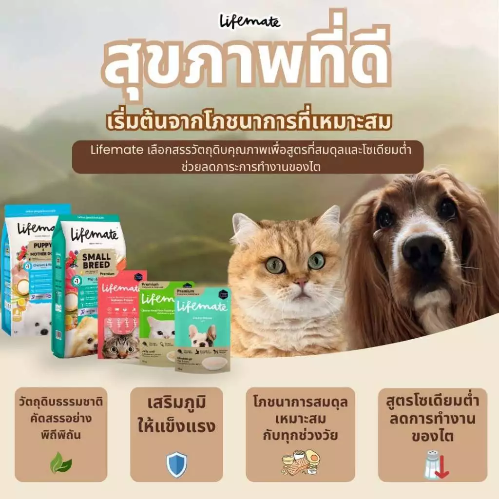 ขนมแมวเลีย Lifemate Cat Mousse Creamy แบบ48ซอง อายุสินค้าน้อยกว่า 2 เดือน (CM2มูสไก่กับรสนมแพะ เท่านั้น) เลือกLotไม่ได้ thumbnail 4