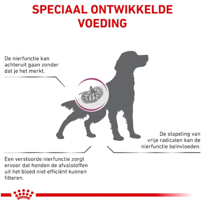Royal Canin VET طعام كلاب رطب Early Renal ‏100 غ × 12 — صورة 4