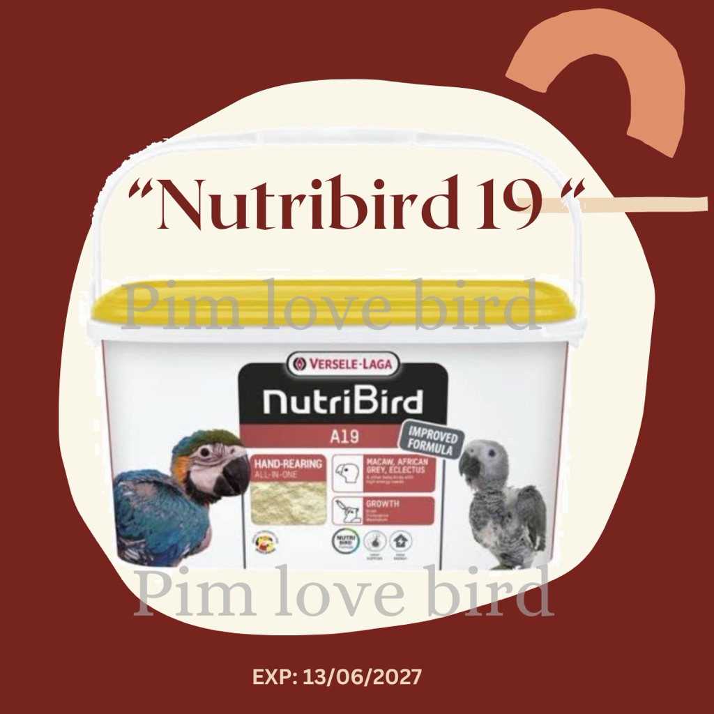 ‼️พร้อมส่ง อาหารนกลูกป้อน Nutribird A19