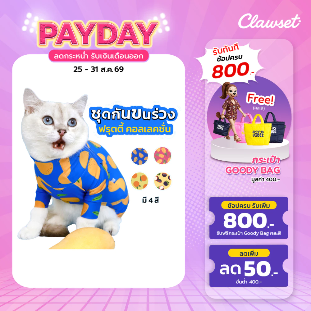 [สินค้าราคาพิเศษ] ชุดกันขนร่วง ลายผลไม้ มะม่วง ส้ม สัปปะรด มังคุด Clawset Fruity Collection