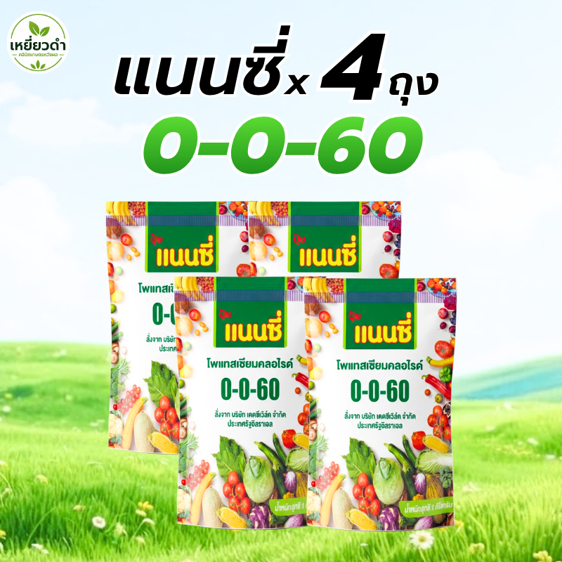[4ถุง] ปุ๋ยเกล็ดขยายผล 0-0-60 แนนซี่ 1 กก. ปุ๋ยขยายขนาด ระเบิดหัว ขยายผล เร่งความหวาน เพิ่มแป้ง