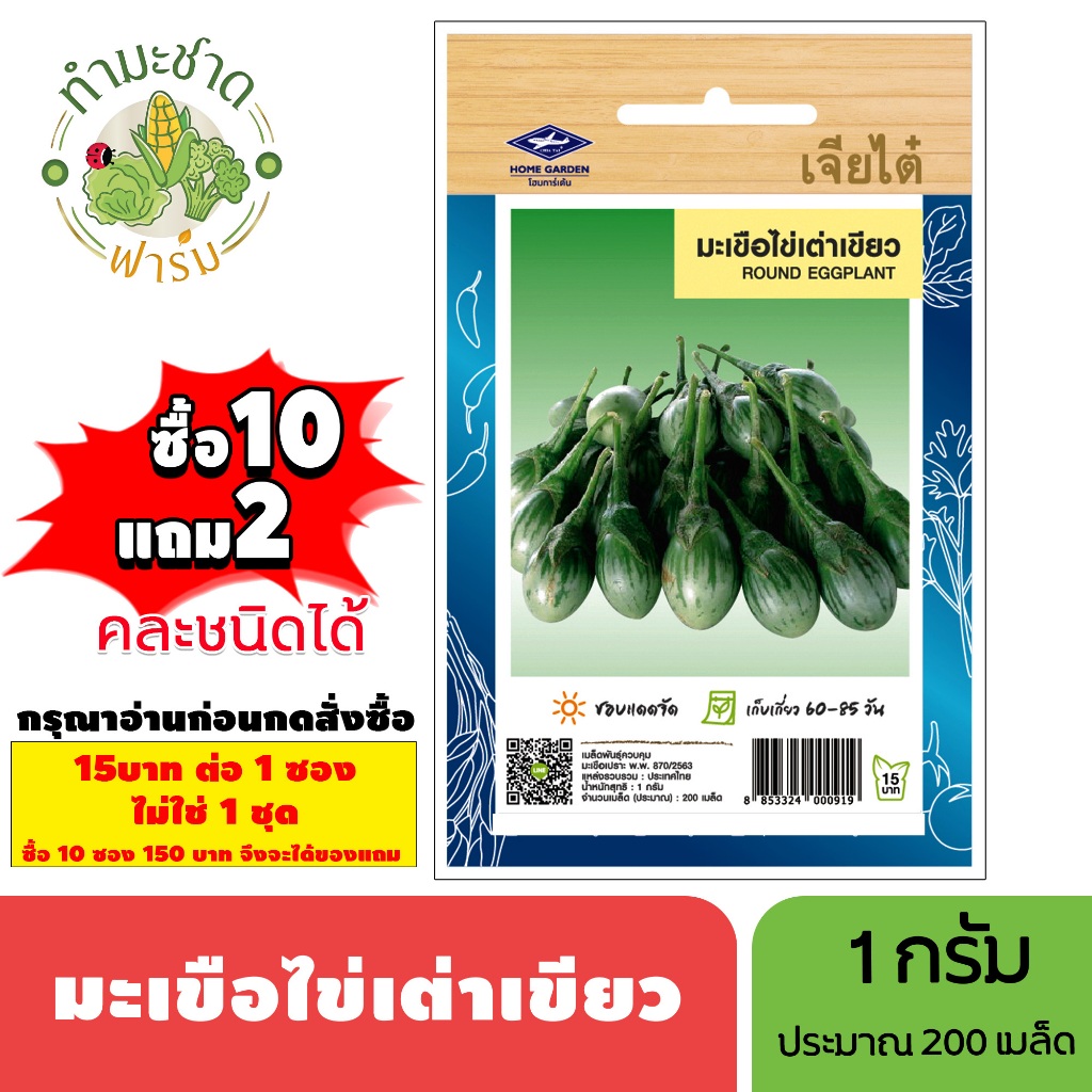 [1ซอง] เจียไต๋ (ซื้อ10แถม2) เมล็ดพันธุ์ มะเขือไข่เต่าเขียว ขนาด1กรัม ประมาณ200เมล็ด Round Eggplant มะเขือไข่เต่า เมล็ดพั
