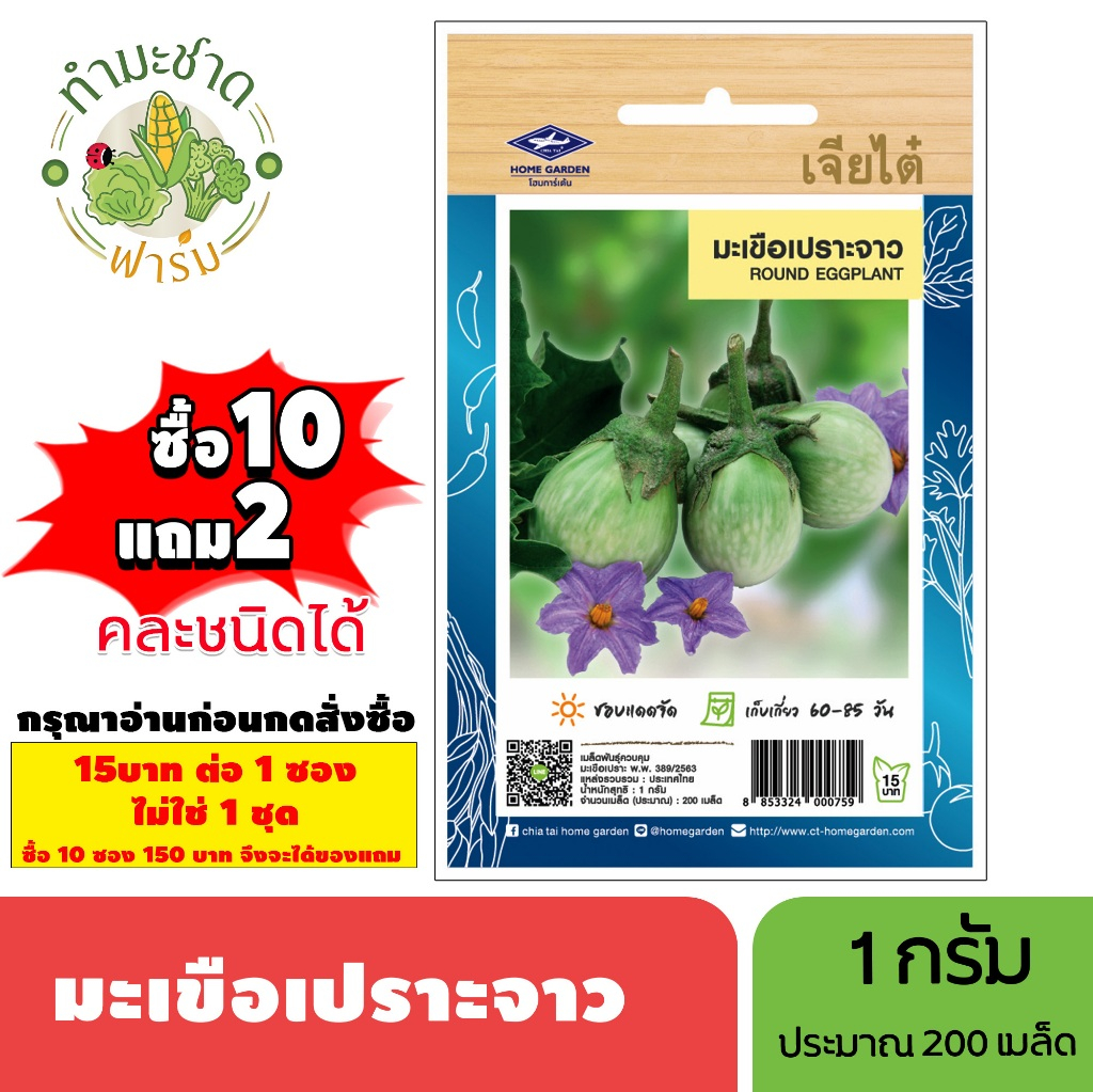 [1ซอง] เจียไต๋ (ซื้อ10แถม2) เมล็ดพันธุ์ มะเขือเปราะจาว ขนาด1กรัม ประมาณ200เมล็ด Round Eggplant มะเขือเปราะ เมล็ดพันธุ์พื