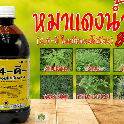 เคซี 84 1ลิตร ดาราเอมีน (2,4 ดีไดเมทิลเอมโมเนียม) คุมวัชพืชในนาหว่านน้ำตม ทั้งใบแคบ ใบกว้างและกก ไฮไลท์