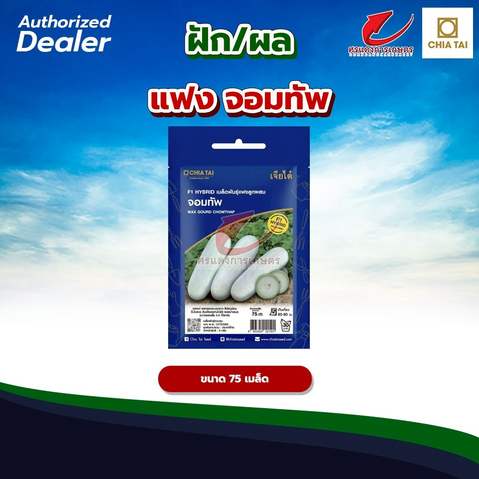 Easy แฟงลูกผสม จอมทัพ ซ. 2 g