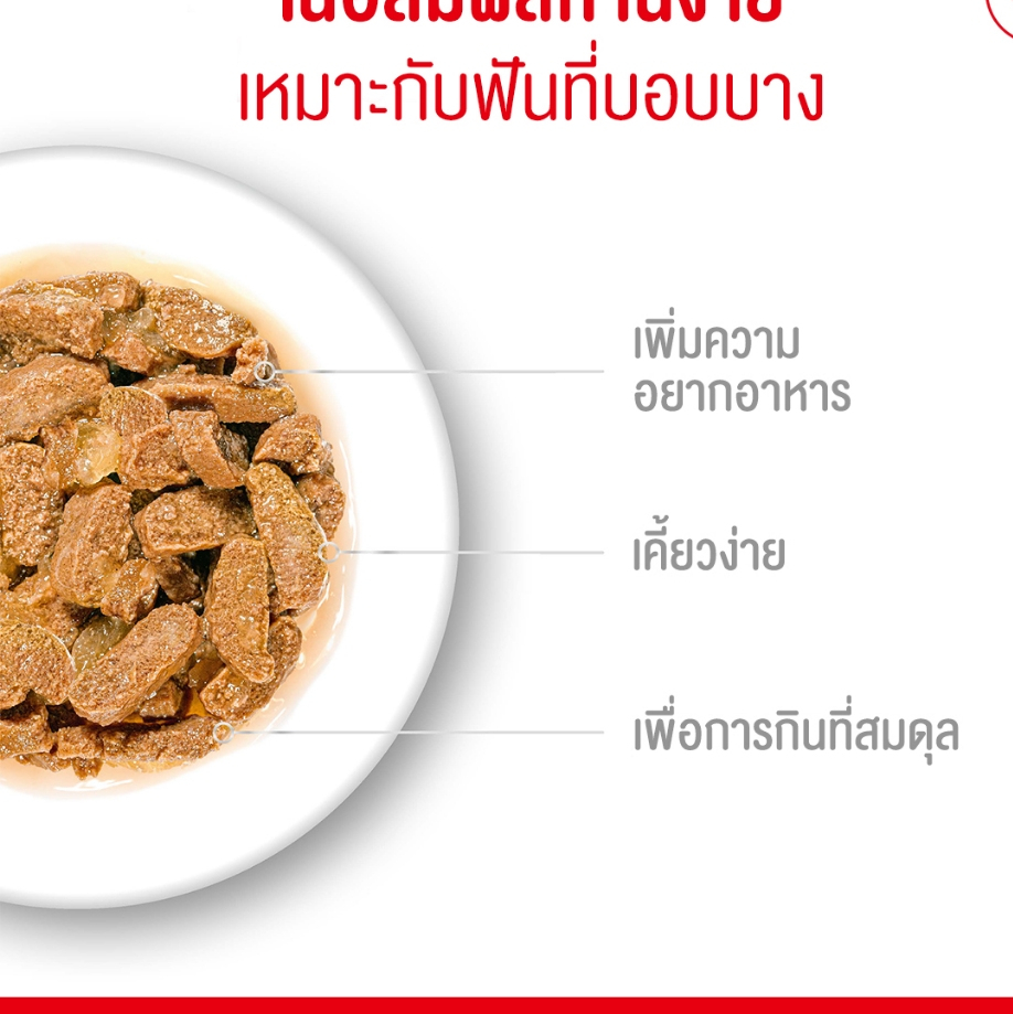 Royal Canin طعام قطط مسنة رطب Ageing 11+ جيلي (12 كيس) — صورة 4