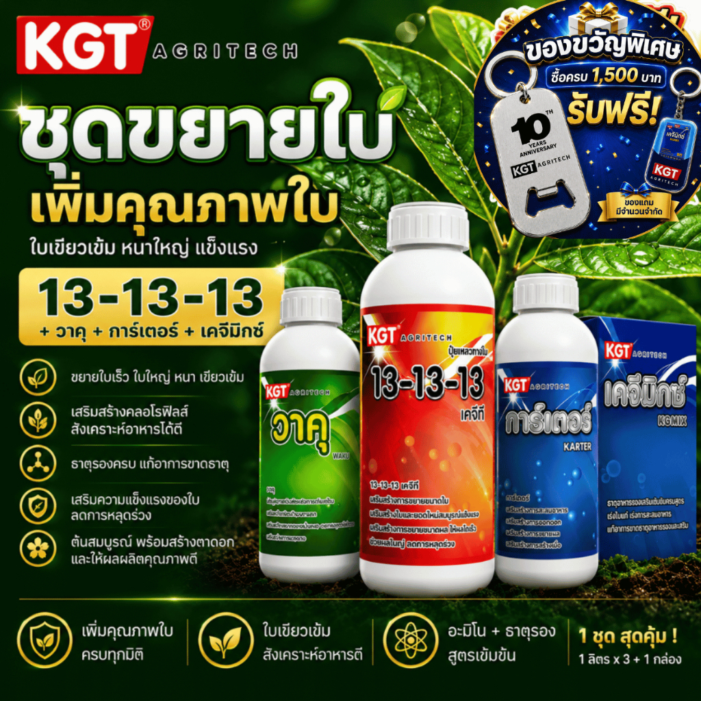 KGT ชุดขยายใบ ใบใหญ่ ใบเขียวเข้ม ต้นสมบูรณ์ พร้อมสะสมอาหาร 13-13-13 + วาคุ + การ์เตอร์ + เคจีมิกซ์
