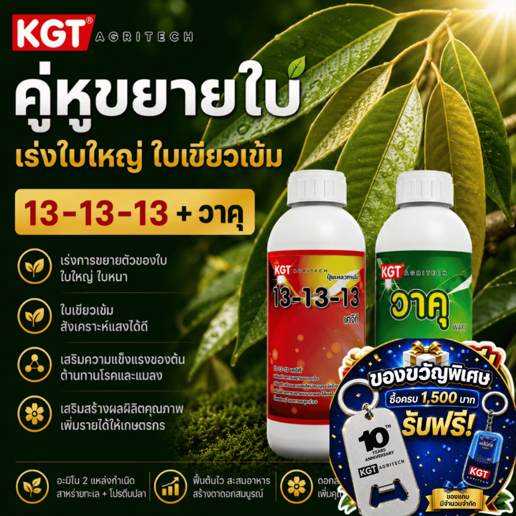 KGT Duo คู่หูขยายใบ 13-13-13 + วาคุ แตกใบอ่อน ใบใหญ่ ต้นสมบูรณ์ ขนาด 1 ลิตร x 2