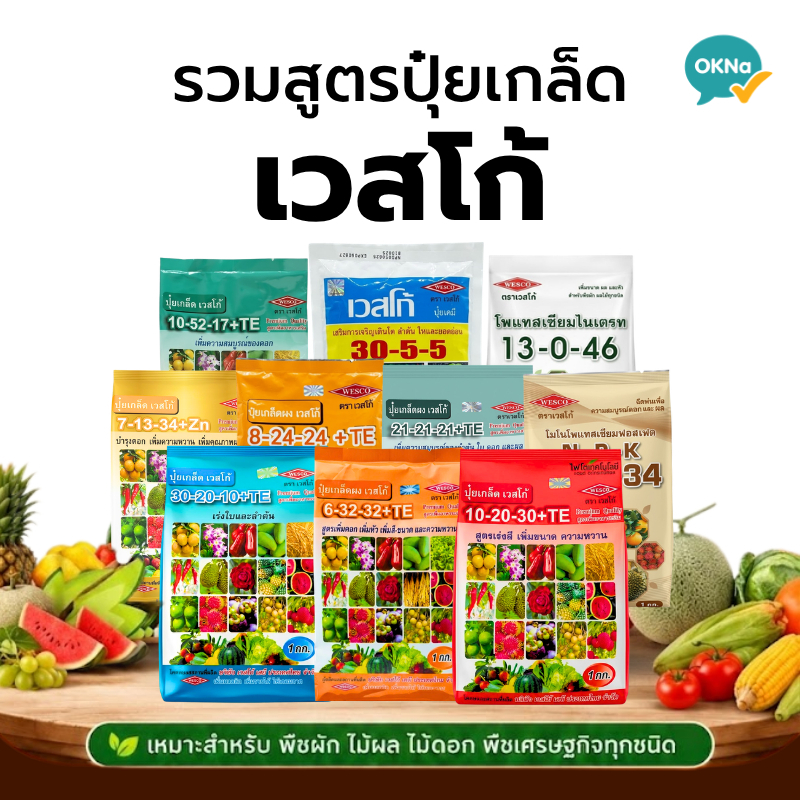 ปุ๋ยเกล็ด เวสโก้ 8-24-24+TE, 0-52-34, 7-13-34+Zn, 21-21-21+TE เร่งใบ ดอก ทำหวาน ปุ๋ยเคมี ปุ๋ยสูตรเสม