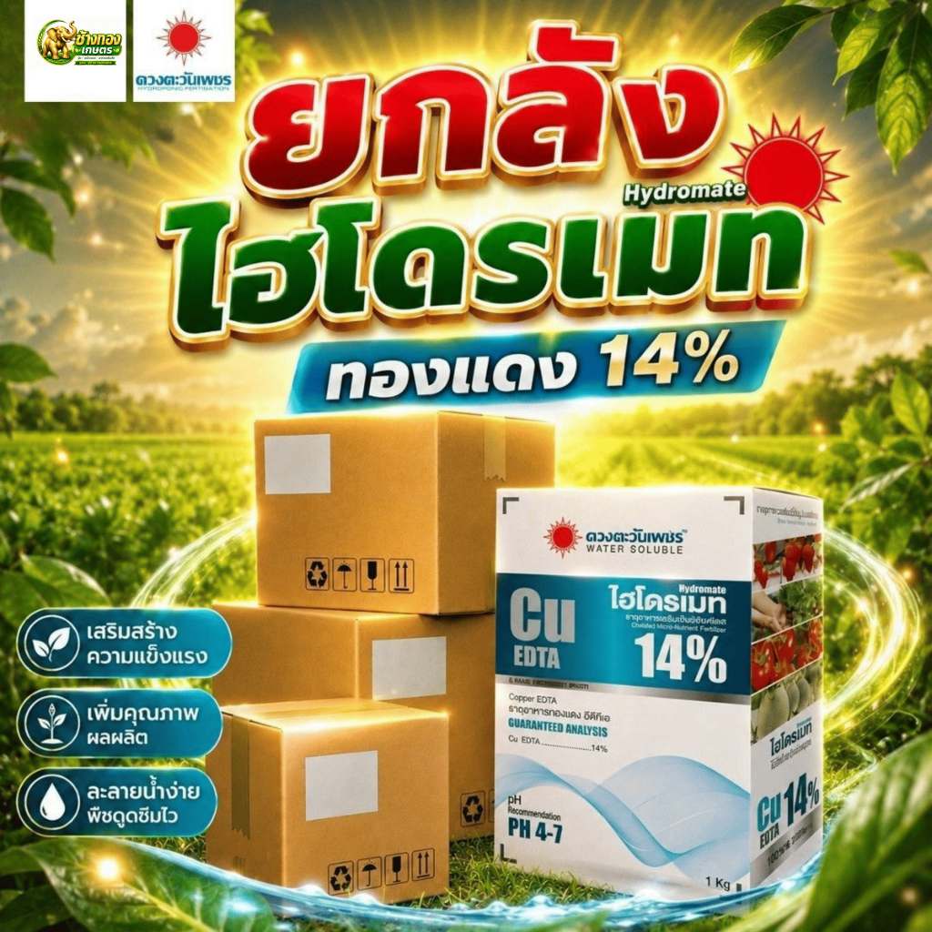 (ยกลัง1kg*10) ทองแดง(คอปเปอร์) Cu EDTA 14% 1kg (ดวงตะวันเพชร)