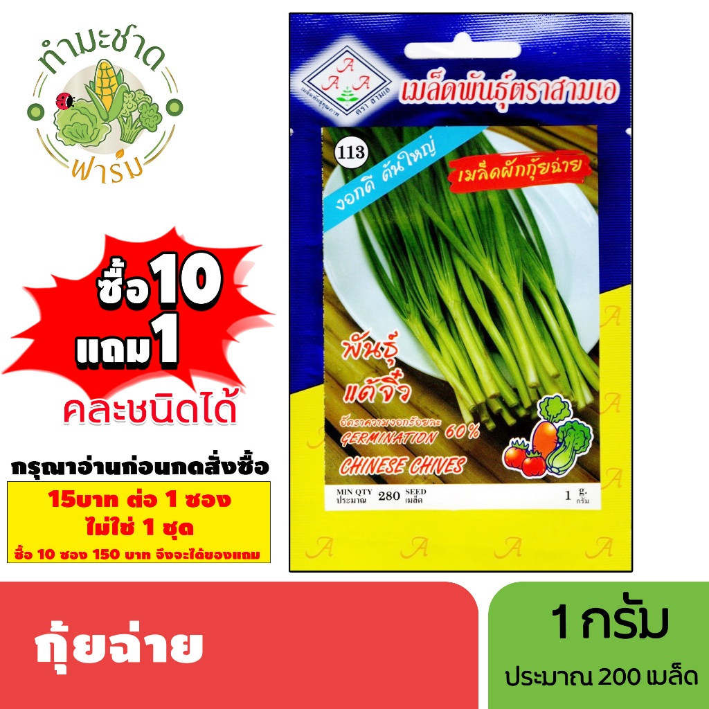 [1ซอง] 3A (ซื้อ10แถม1) เมล็ดพันธุ์ กุยช่าย ขนาด1กรัม ประมาณ280เมล็ด CHIVES กุ้ยช่าย กุ้ยฉ่าย กุยฉ่าย เมล็ดพันธุ์พืช เมล็
