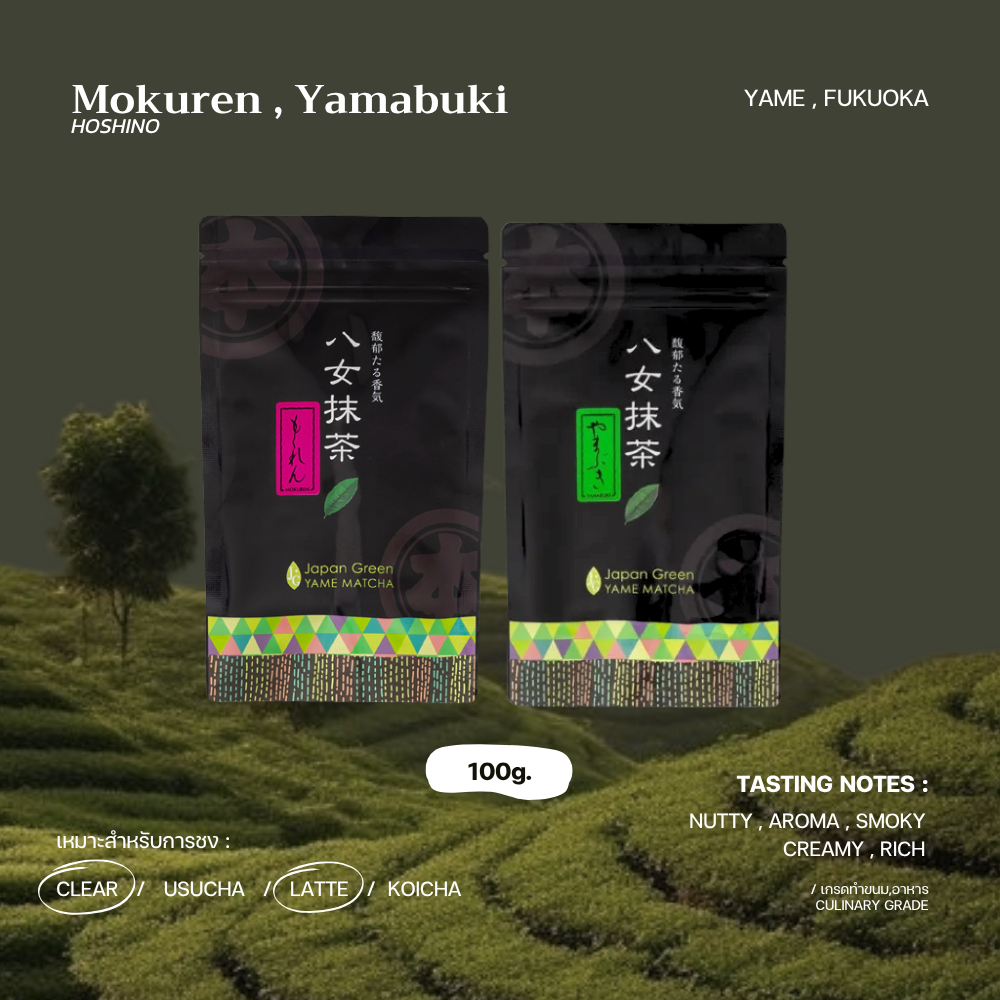 [Rei • เรย์]มัทฉะเกรดขนม "Mokuren , Yamabuki , Kodemari" - HOSHINO SEICHAEN