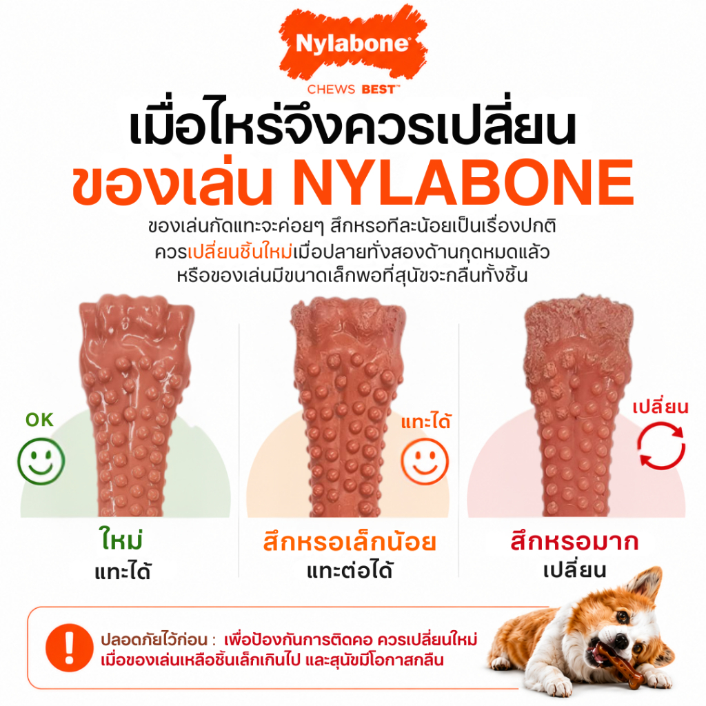Nylabone عصا مضغ Strong Chew بالمارشميلو — صورة 8