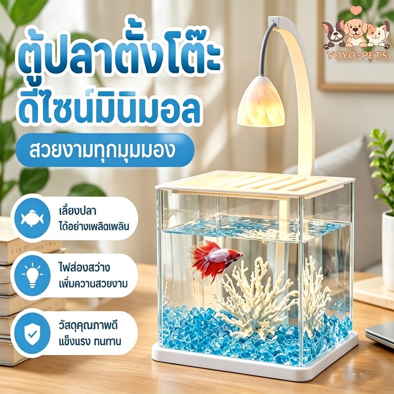 ตู้ปลาเดสก์ท็อป ตู้เลี้ยงปลา นำวัสดุจัดสวนมาเอง นำไฟมาเอง ภายในมองเห็นได้อย่างชัดเจน