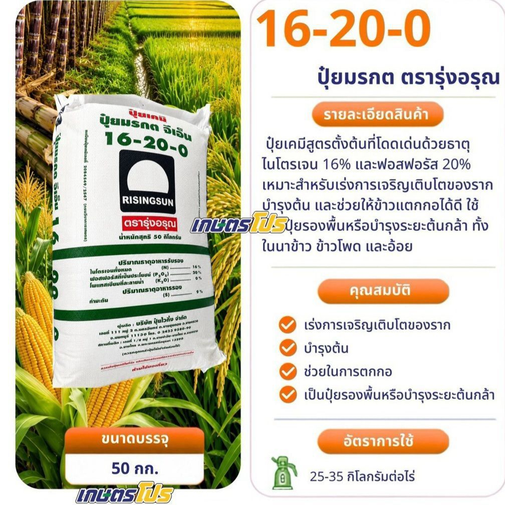 ปุ๋ย รุ่งอรุณ 16-20-0 50 kg แบ่งขาย