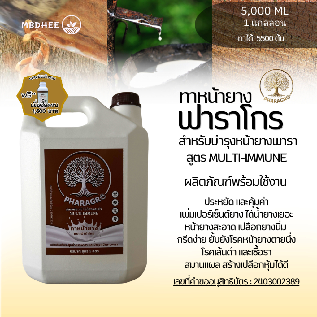 ยาทาหน้ายาง 5 ลิตร เพิ่มน้ำยาง สร้างเปลือกเร็ว ไม่มีสารเร่ง ยั้บยั้งเชื้อราต้านทานโรคเส้นดำ ตายนึ่ง