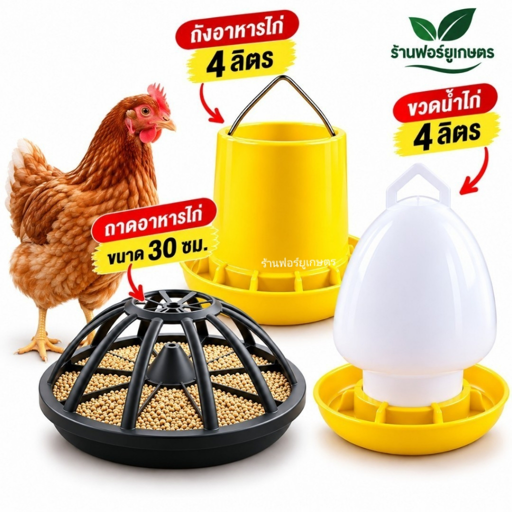 ส่งไว ชุดอุปกรณ์เลี้ยงไก่ พลาสติกเกรด A  ถังอาหารไก่ ถังน้ำสัตว์ 4 ลิตร ถาดอาหารไก่ 30 ซม. เหนียวทนทาน