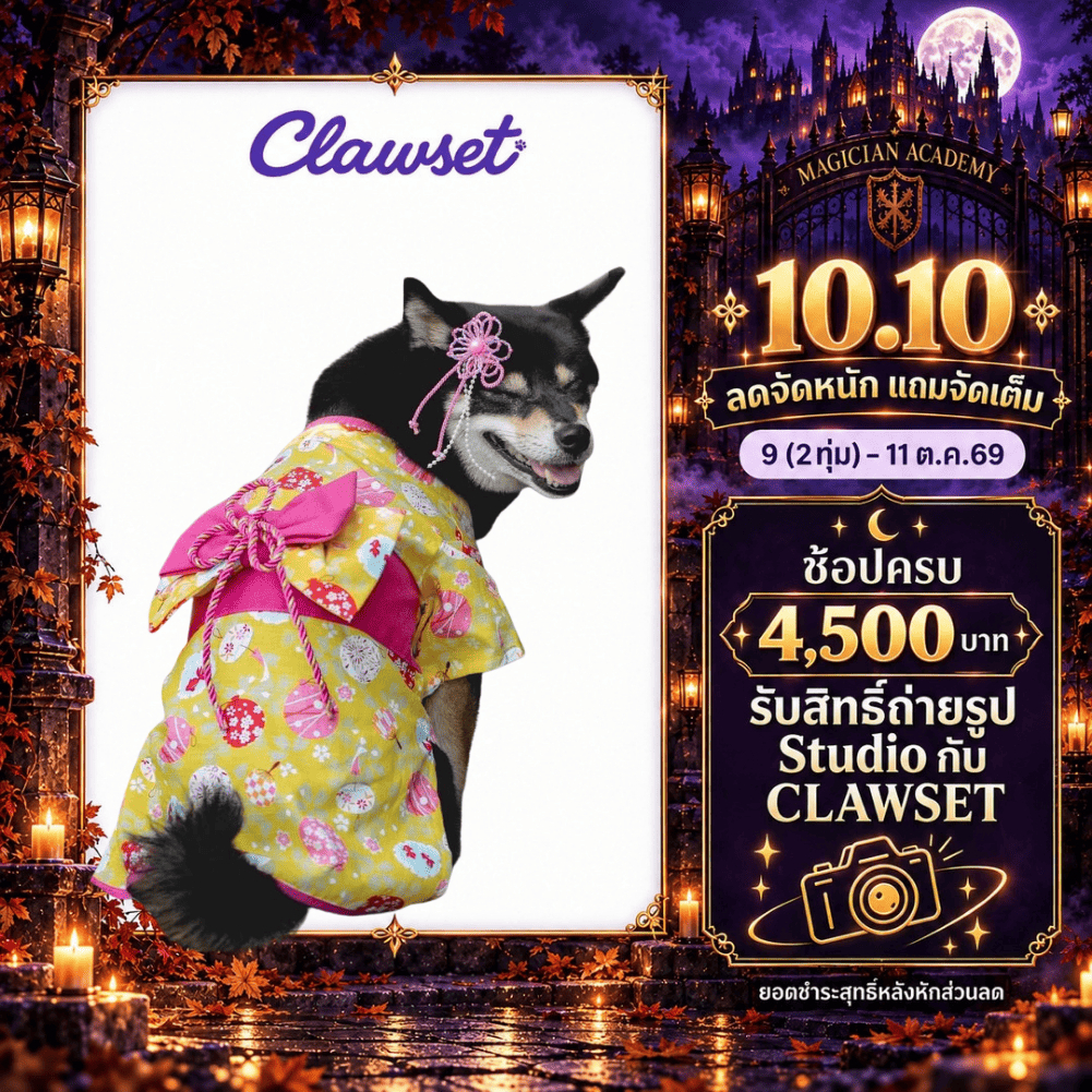CLAWSET كيمونو للحيوانات Inusama ياباني — صورة 2