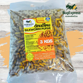 ดักแด้แช่แข็งกระสอบ ยี่ห้อแมลงส่งด่วน