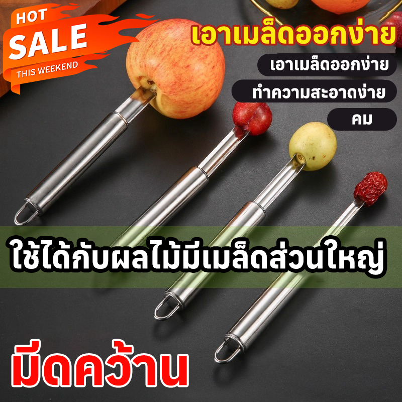 ที่เจาะแกนผลไม้ ใบมีด 4 ขนาด 0.8/1/1.4/2 ซม. อุปกรณ์เจาะแกนผลไม้ อาหารเกรดสแตนเลส ใช้ได้กับผลไม้หลากหลายชนิด