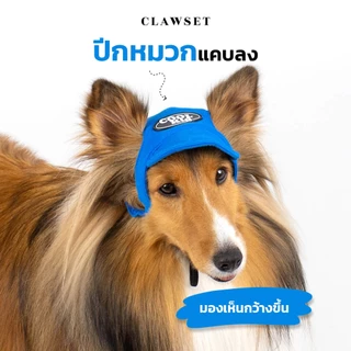 หมวก Coolkid New หมวกรุ่นใหม่ ปรับสายได้ นุ่ม เบาสบาย ทรงเก๋กว่าเดิม | CLAWSET.BKK