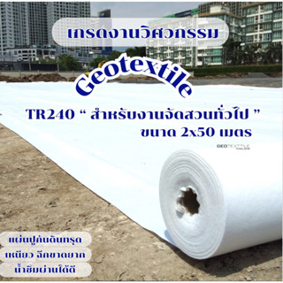 Non woven Geotextile TR240 ขนาด 2x50m.แผ่นปูกันดินทรุด แผ่นร…