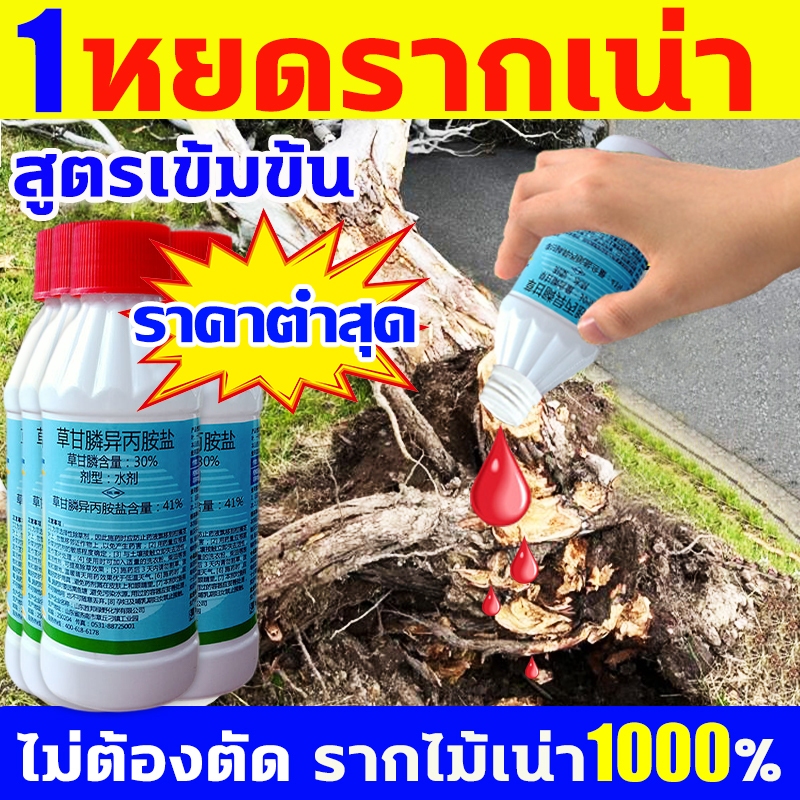 ไม่ต้องตัด รากไม้เน่า1000% ยาฆ่าต้นไม้ เน่าเสียถึงราก ยาฆ่ากอไผ่ ไม่ทำลายดิน ยาฆ่าตอไม้ ยาฆ่าไผ่ ยาฆ่าไม้ไผ่ ยาฆ่าหญ้า