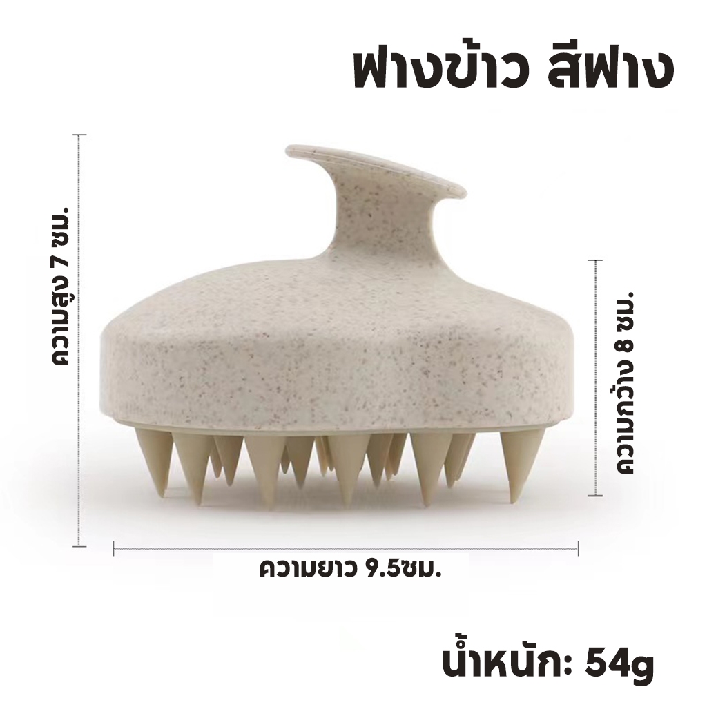 รูปภาพ 7