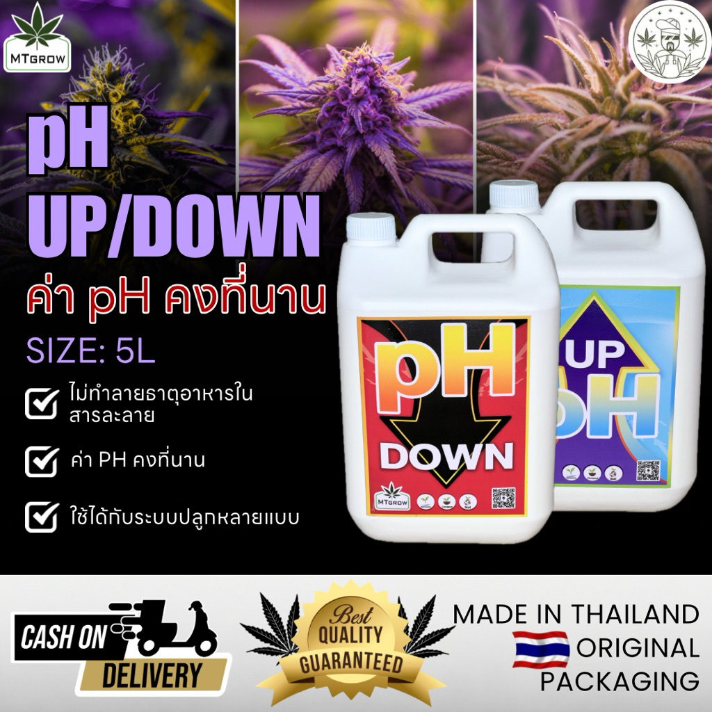 MTgrow pH UP/DOWN ขนาด 5และ20ลิตร สำหรับปรับค่า pH ในการปลูกพืช ใช้ได้ทั้งปุ๋ยทำใบและทำดอก ควบคุมสภาพน้ำง่าย