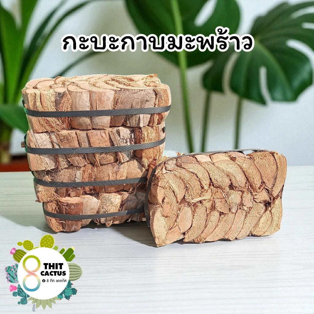 // กะบะกาบมะพร้าว// ขนาดมัดราว 20*30*สูง10cm //ถาดกาบมะพร้าว ปลูกกล้วยไม้ ไม้เลื่อย