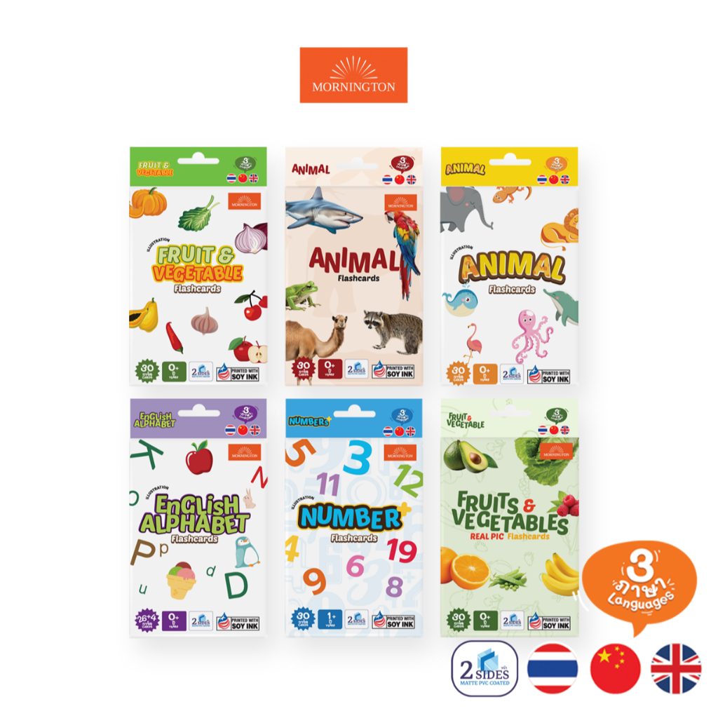 Mornington Flashcard ชุดแฟลชการ์ด การ์ดคำศัพท์ บัตรคำ 3 ภาษา เสริมพัฒนาการเด็ก / กล่อง