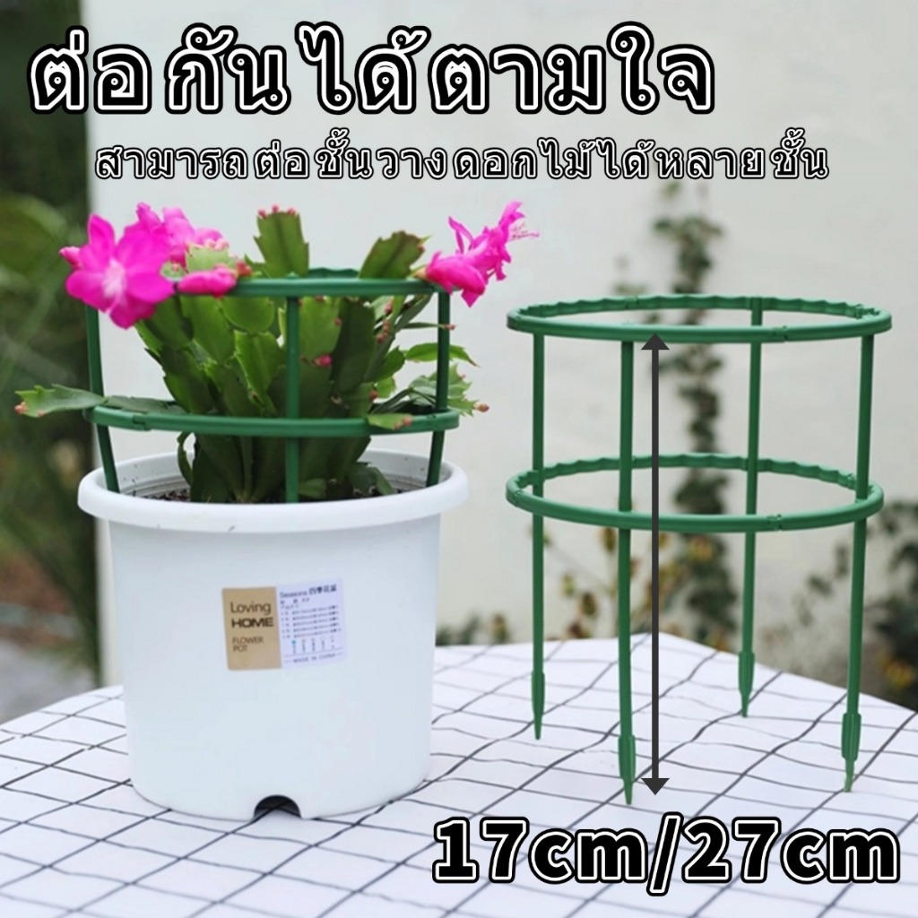 กรงพืช ไซ โครงเถาวัลย์  สวน พืช รองรับ  เสามะเขือเทศ  โครงปลูก อุปกรณ์สำหรับพืชไม้เลื้อย จัดทรงต้นไม้  ครึ่งวงกลม17/27 ซ