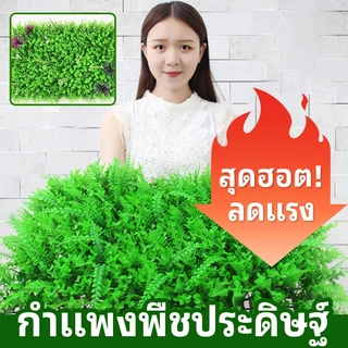 หญ้าเทียม 40x60cm. หญ้าตีนเป็ด หญ้ามิลาน ใบเฟิรน์ ยูคา กำแพงสวนรั้วต้นไม้ปลอม หญ้าติดผนัง ร้านกาแฟ รั้วกำแพง