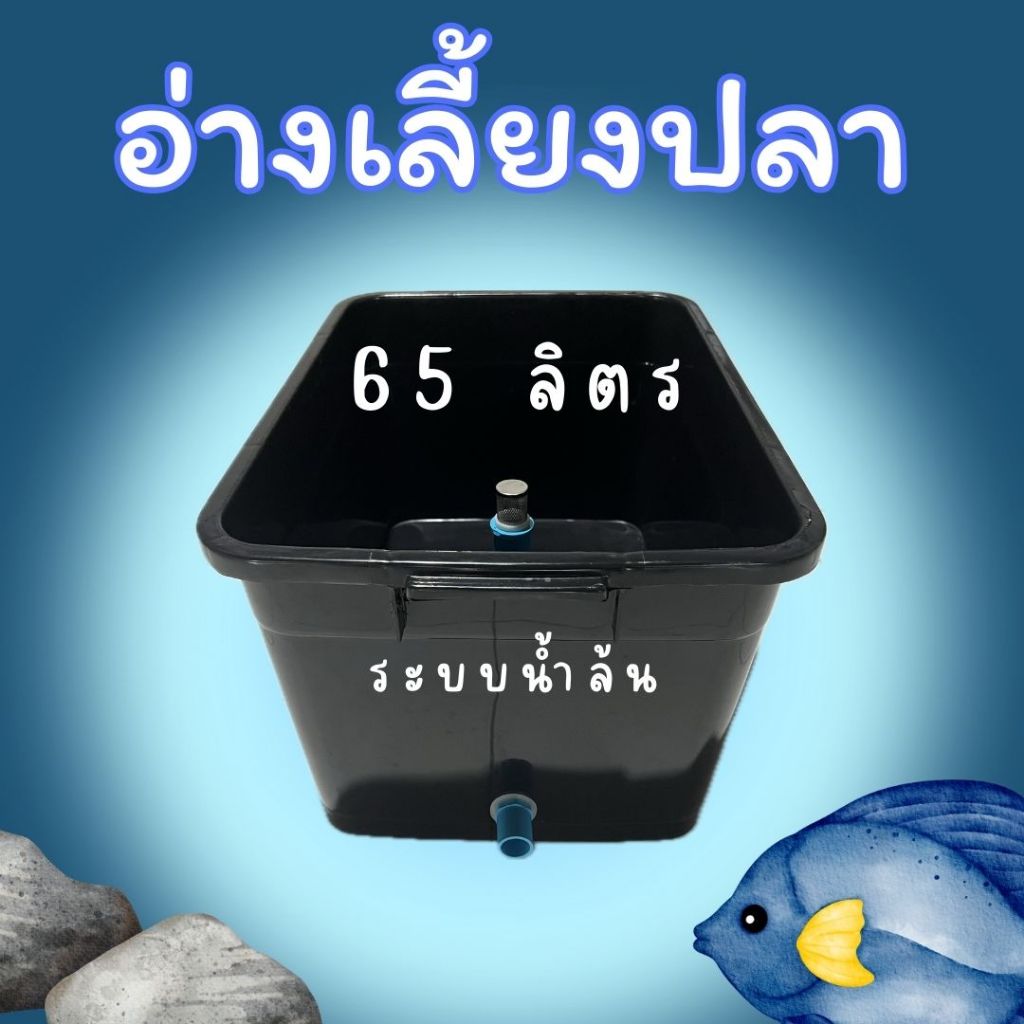 อ่างเลี้ยงปลา 65 ลิตร มีระบบน้ำล้น พร้อมกรองกันลูกปลาหลุด แข็งแรง ทนทาน