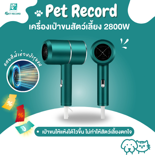 Pet Record 2800W ต่ำเสียงสัตว์เลี้ยงตัวเป่าลูกสุนัขตัวเป่าแมวเสียงต่ำเสียงต่ำผมฟาสต์เพ็ทเลี้ยงสัตว์เลี้ยงให้แห้ง