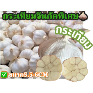 กระเทียมปิงปอง (คัดพิเศษ) กลีบใหญ่