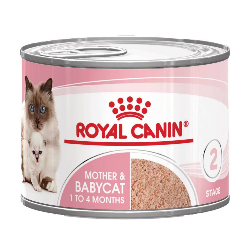 Royal Canin Mother & Baby Cat Can (ฺฺ07/11/26) โรยัล คานิน อาหารเปียก แม่แมวตั้งท้อง-ให้นม และลูกแมว