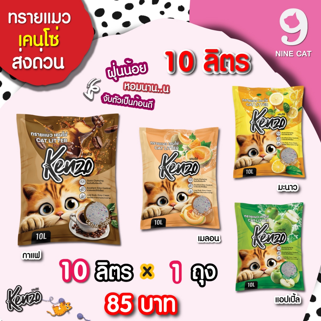 ทรายแมว Kenzo ส่งด่วน ส่งฟรี 1 ถุง 10 ลิตร เคนโซ่ กลิ่นหอม จับตัวเป็นก้อนไว