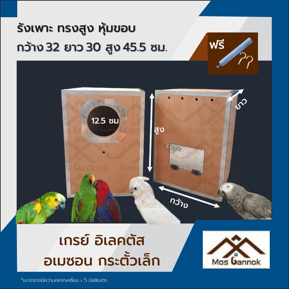รังเพาะนก แอฟฟริกันเกรย์ อิเล็คตัส ทรงสูง แนวตั้ง ไม่หุ้มขอบ  กล่องไข่นก เกรย์ ลังเพาะนก รังนก ลังนก
