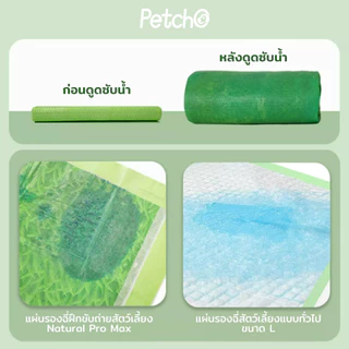 Petcho (Cocoyo) แผ่นรองฉี่สุนัข ขนาดใหญ่พิเศษ แผ่นรองฉี่หญ้า ที่หมาชอบ กระตุ้นการขับถ่ายปัสสาวะ รูดูดซับแบบจุด