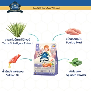 Buzz Beyond - อาหารแมว บัซซ์ บียอนด์ กลูเตนฟรี รสปลาแซลมอน สำหรับแมวโต ทุกสายพันธุ์ 1 kg
