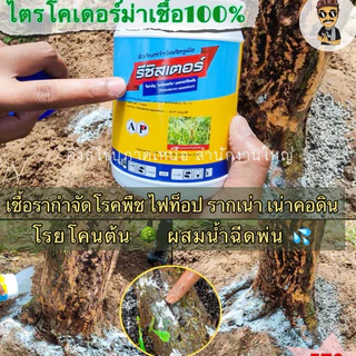 รีซิสเตอร์ ไตรโคเดอร์ม่า ป้องกันเชื้อรา