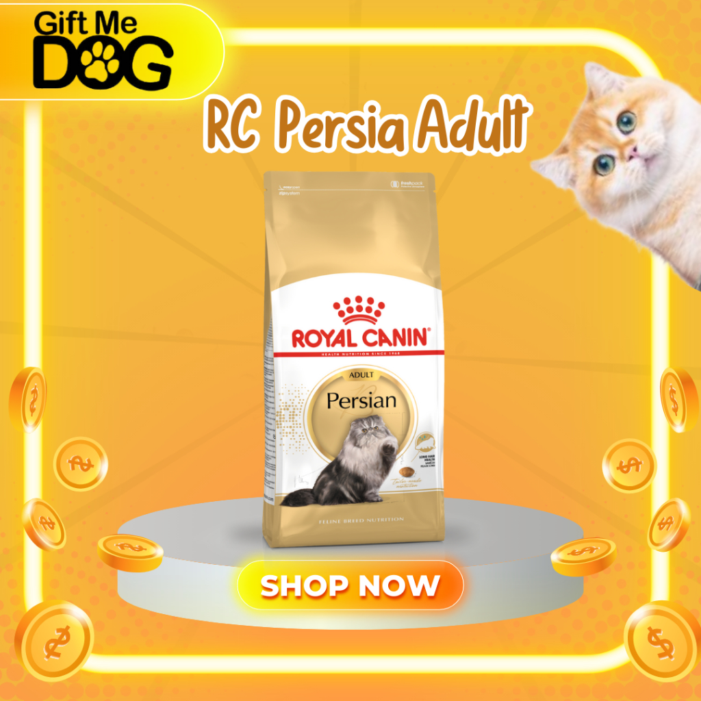 Royal Canin Persian Adultโรยัลคานิน อาหารเม็ดแมวพันธุ์เปอร์เซียโต  ขนาด2kg,4kg