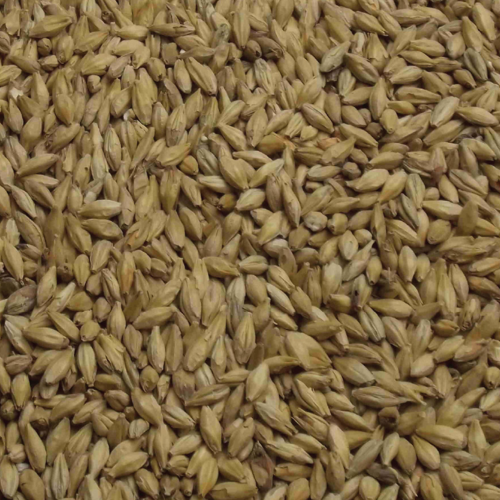Munich Malt Type 1 (1lb) - Weyermann